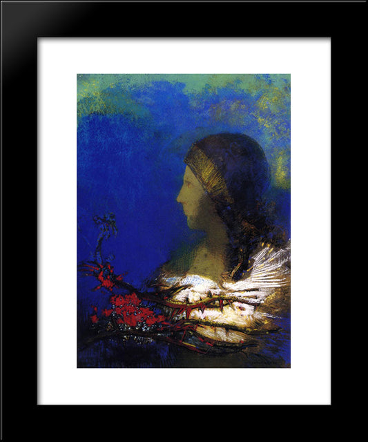 Red Thorns 20x24 Black Modern Wood Framed Art Print Poster by Redon, Odilon