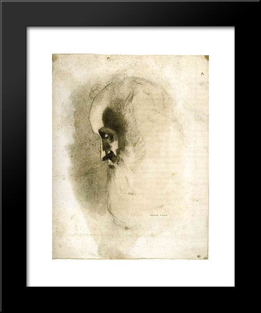 Rodolphe Bresdin 20x24 Black Modern Wood Framed Art Print Poster by Redon, Odilon