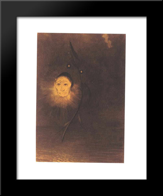 Swamp Flower 20x24 Black Modern Wood Framed Art Print Poster by Redon, Odilon