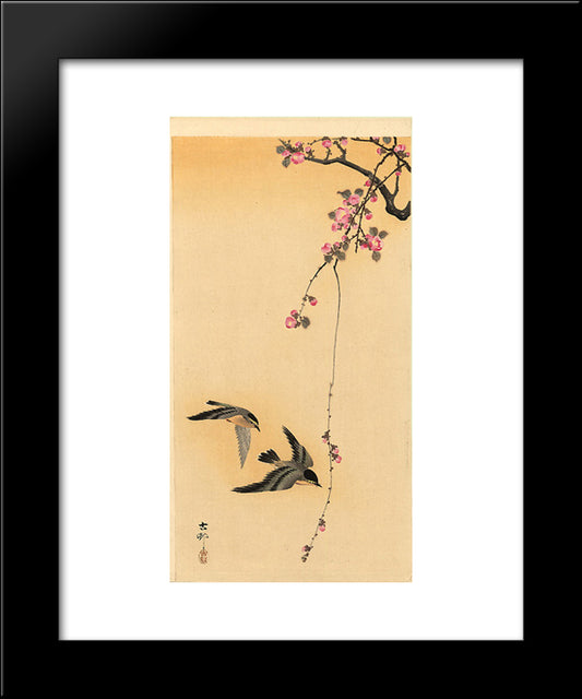 Cherry Blossom With Birds 20x24 Black Modern Wood Framed Art Print Poster by Koson, Ohara