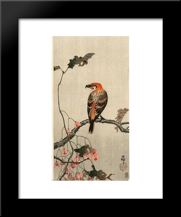 Crossbill 20x24 Black Modern Wood Framed Art Print Poster by Koson, Ohara