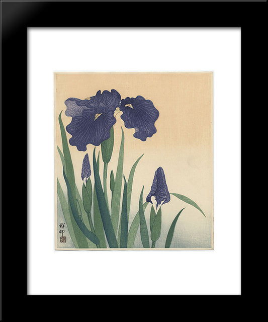 Flowering Iris 20x24 Black Modern Wood Framed Art Print Poster by Koson, Ohara