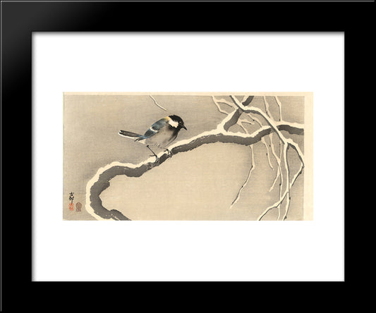 Giant Tit On Snowy Branch 20x24 Black Modern Wood Framed Art Print Poster by Koson, Ohara