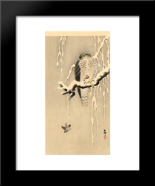Goshawk On Snowy Branch 20x24 Black Modern Wood Framed Art Print Poster by Koson, Ohara