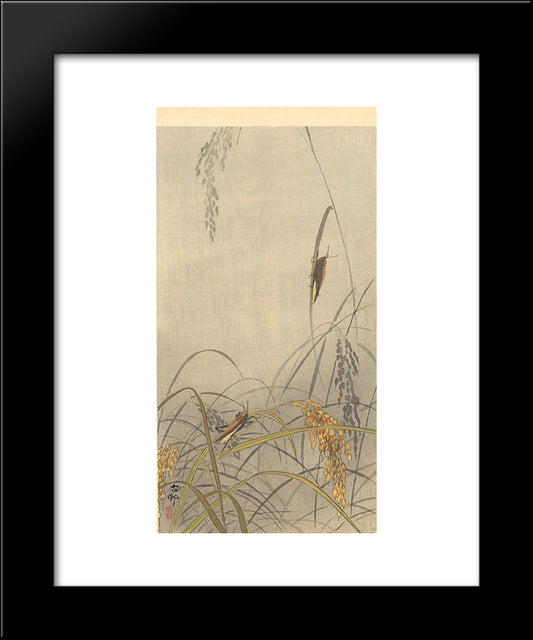 Grasshoppers On Rice Plants 20x24 Black Modern Wood Framed Art Print Poster by Koson, Ohara
