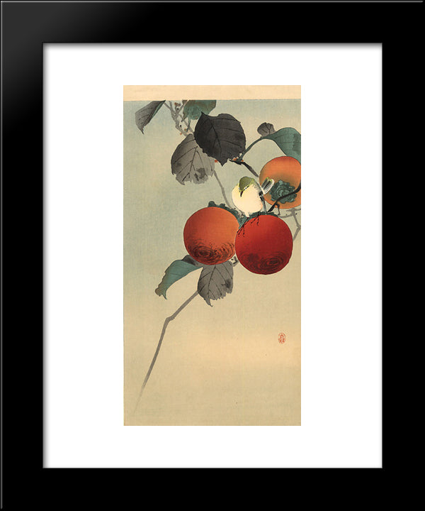 Nuthatch 20x24 Black Modern Wood Framed Art Print Poster by Koson, Ohara