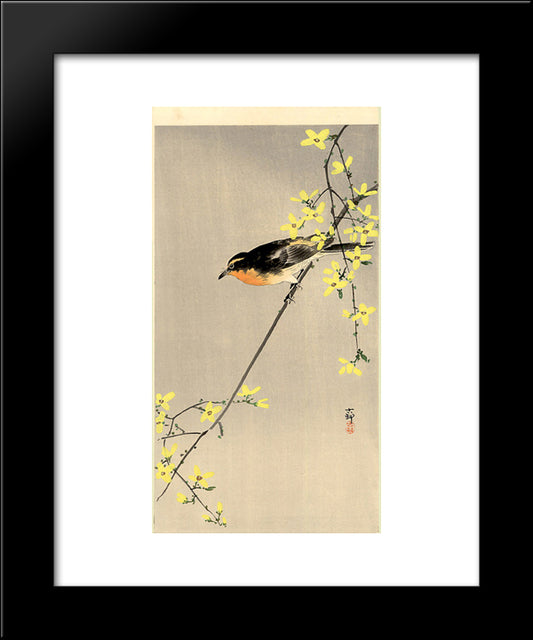Orange-Breasted Bird 20x24 Black Modern Wood Framed Art Print Poster by Koson, Ohara