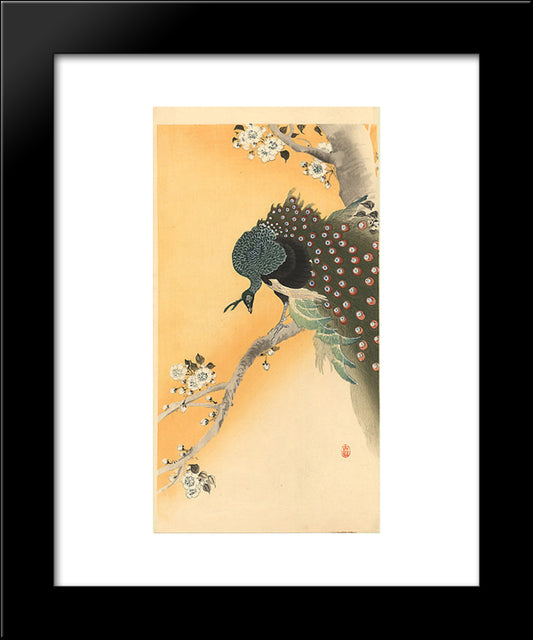 Peacock 20x24 Black Modern Wood Framed Art Print Poster by Koson, Ohara