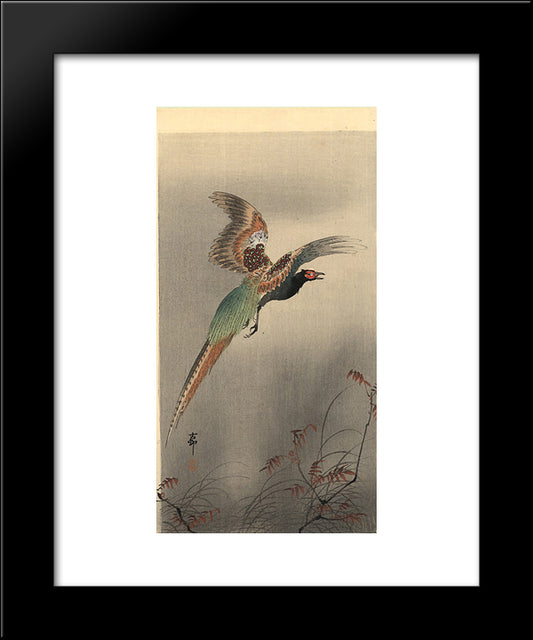 Pheasant In Flight 20x24 Black Modern Wood Framed Art Print Poster by Koson, Ohara