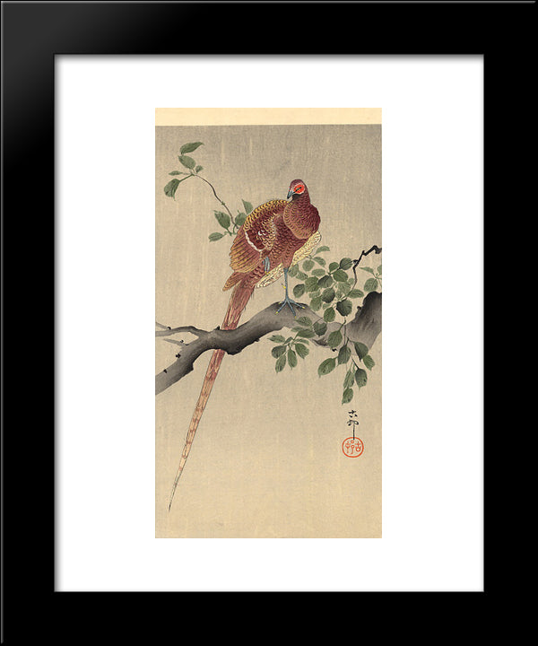 Pheasant On Branch 20x24 Black Modern Wood Framed Art Print Poster by Koson, Ohara
