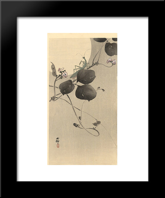 Praying Mantis 20x24 Black Modern Wood Framed Art Print Poster by Koson, Ohara