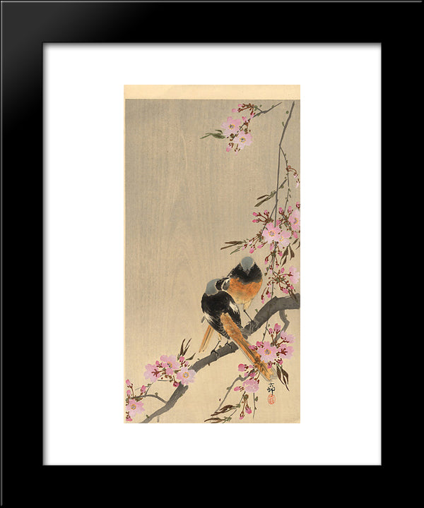 Redstart On Cherry Branch 20x24 Black Modern Wood Framed Art Print Poster by Koson, Ohara