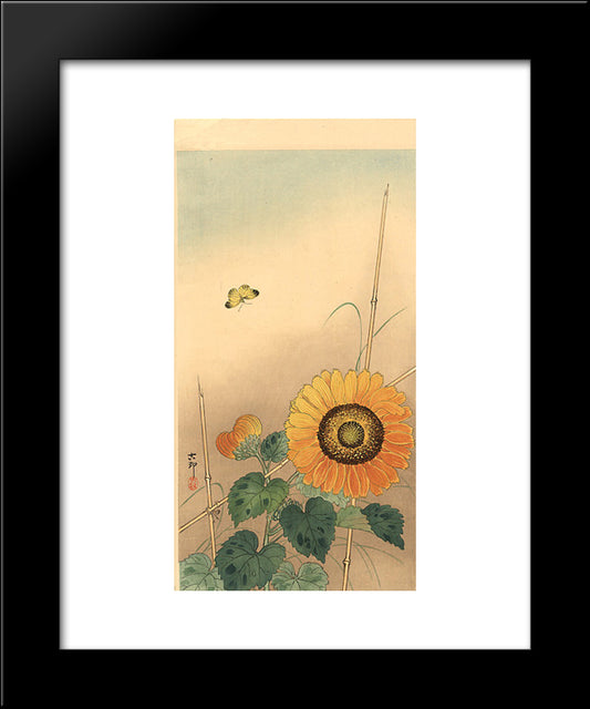 Small Butterfly And Sunflower 20x24 Black Modern Wood Framed Art Print Poster by Koson, Ohara