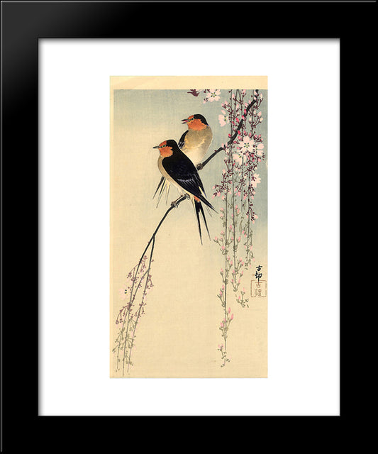 Swallows With Cherry Blossom 20x24 Black Modern Wood Framed Art Print Poster by Koson, Ohara