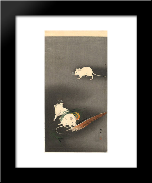 Three White Mice 20x24 Black Modern Wood Framed Art Print Poster by Koson, Ohara