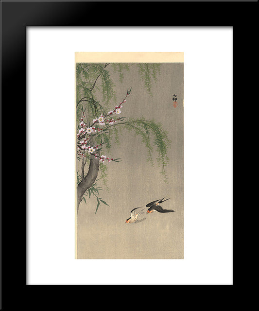 Two Barn Swallows In Flight, Willow Branch And Flowering Cherry Above 20x24 Black Modern Wood Framed Art Print Poster by Koson, Ohara