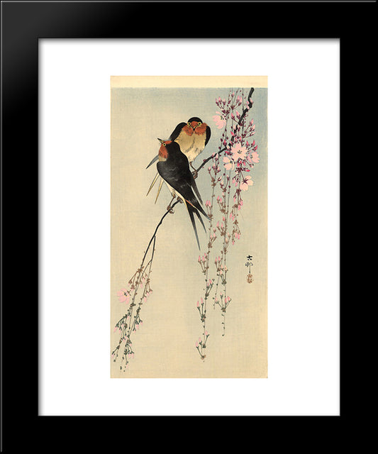 Two Barn Swallows On Blossoming Cherry 20x24 Black Modern Wood Framed Art Print Poster by Koson, Ohara