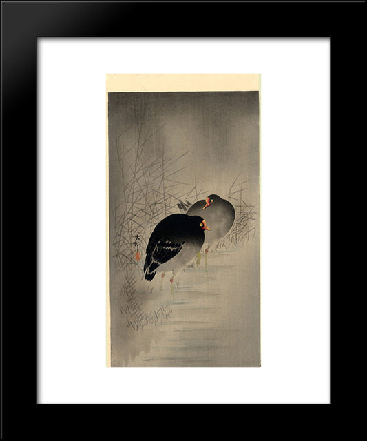 Two Gallinules 20x24 Black Modern Wood Framed Art Print Poster by Koson, Ohara