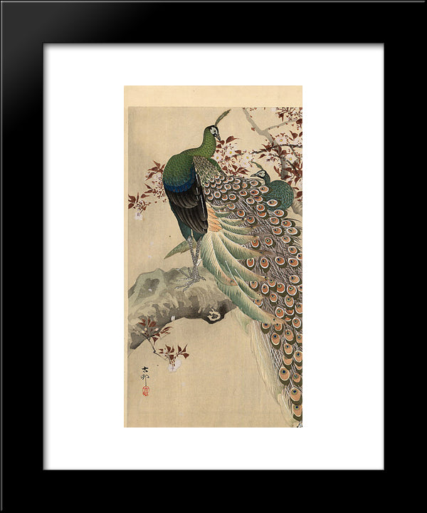 Two Green Peacocks On The Bough Of A Flowering Tree 20x24 Black Modern Wood Framed Art Print Poster by Koson, Ohara
