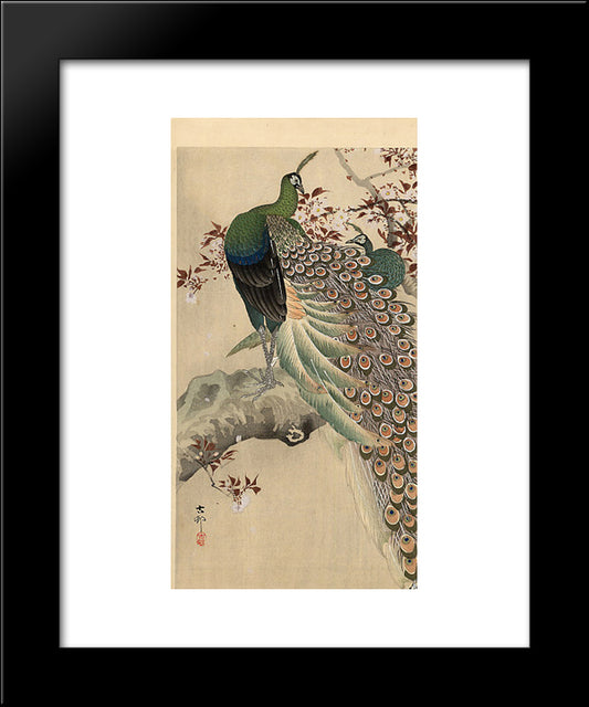 Two Green Peacocks On The Bough Of A Flowering Tree 20x24 Black Modern Wood Framed Art Print Poster by Koson, Ohara