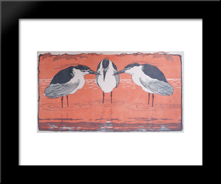 Night Herons 20x24 Black Modern Wood Framed Art Print Poster by Eckmann, Otto