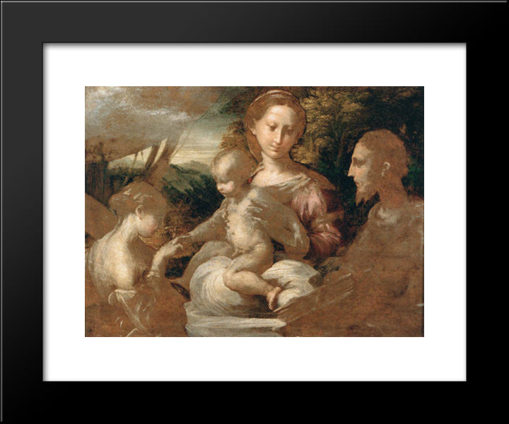 Mystic Marriage Of St Catherine 20x24 Black Modern Wood Framed Art Print Poster by Parmigianino