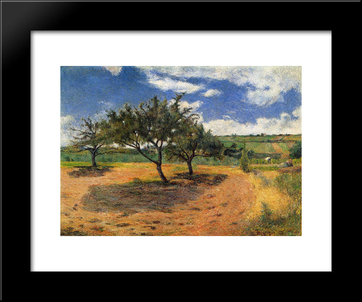 Apple-Trees In Blossom 20x24 Black Modern Wood Framed Art Print Poster by Gauguin, Paul