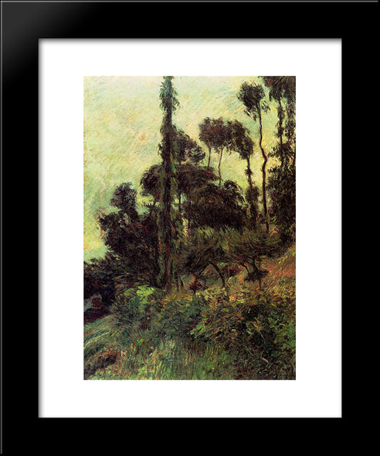 Hillside 20x24 Black Modern Wood Framed Art Print Poster by Gauguin, Paul