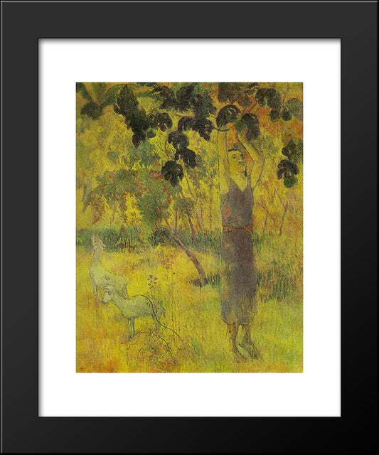 Man Picking Fruit From A Tree 20x24 Black Modern Wood Framed Art Print Poster by Gauguin, Paul