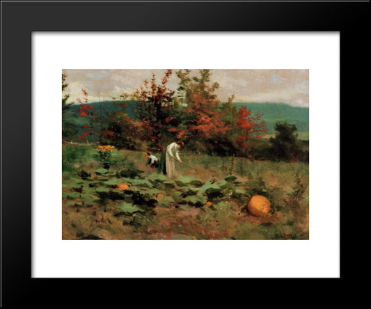 Pumpkin Patch 20x24 Black Modern Wood Framed Art Print Poster by Peel, Paul