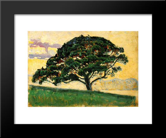 The Bonaventure Pine 20x24 Black Modern Wood Framed Art Print Poster by Signac, Paul