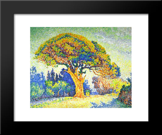 The Pine Tree At St. Tropez 20x24 Black Modern Wood Framed Art Print Poster by Signac, Paul