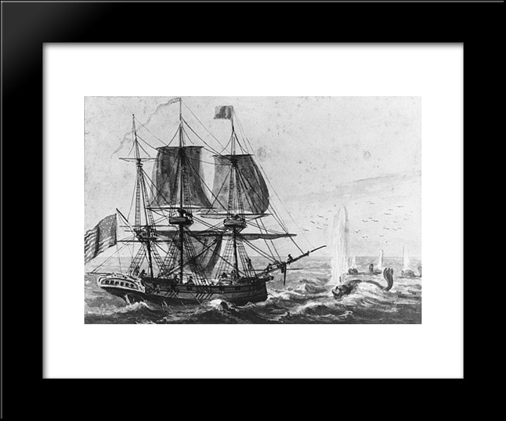 Replenishing The Ship'S Larder With Codfish Off The Newfoundland Coast 20x24 Black Modern Wood Framed Art Print Poster by Svinyin, Pavel