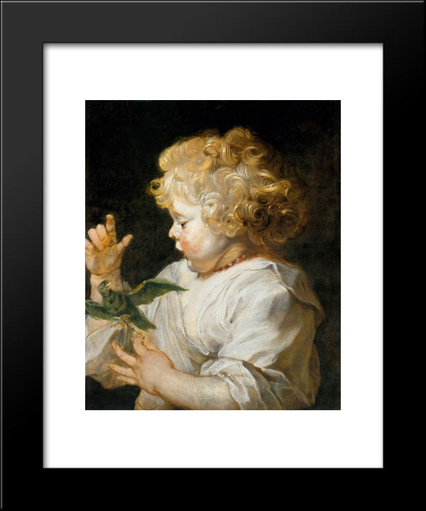 Boy With Bird 20x24 Black Modern Wood Framed Art Print Poster by Rubens, Peter Paul