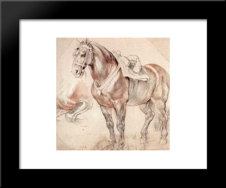 Etude Of Horse 20x24 Black Modern Wood Framed Art Print Poster by Rubens, Peter Paul