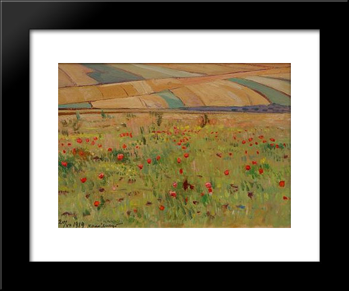 Poppies 20x24 Black Modern Wood Framed Art Print Poster by Kholodny (Elder), Petro