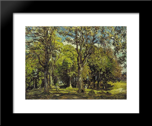 The Oak Grove, Bridgnorth, Shropshire 20x24 Black Modern Wood Framed Art Print Poster by Steer, Philip Wilson