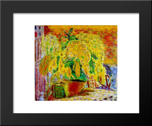 Bunch Of Mimosa 20x24 Black Modern Wood Framed Art Print Poster by Bonnard, Pierre