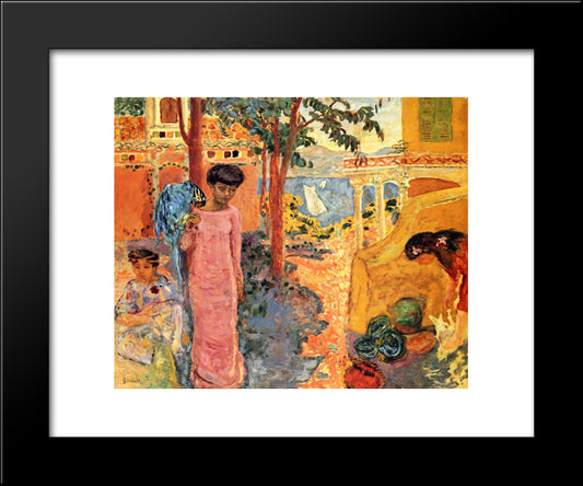 Girl With Parrot 20x24 Black Modern Wood Framed Art Print Poster by Bonnard, Pierre