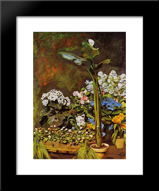 Arum And Conservatory Plants 20x24 Black Modern Wood Framed Art Print Poster by Renoir, Pierre Auguste