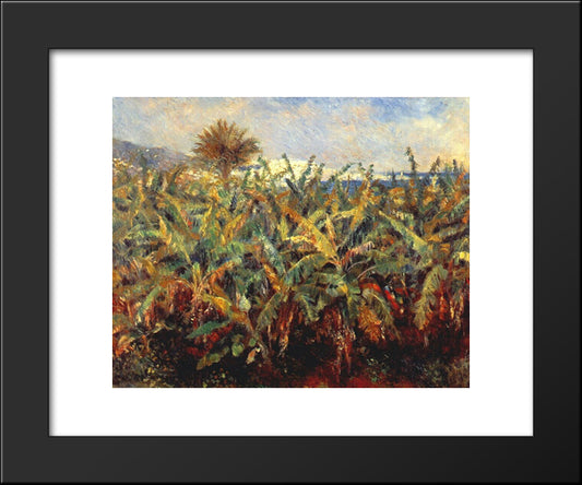 Field Of Banana Trees 20x24 Black Modern Wood Framed Art Print Poster by Renoir, Pierre Auguste