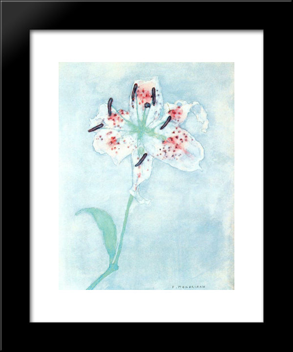 Lily 20x24 Black Modern Wood Framed Art Print Poster by Mondrian, Piet