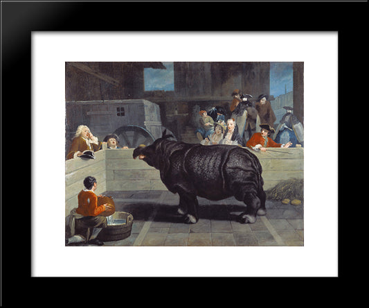 Rhinoceros In Venice 20x24 Black Modern Wood Framed Art Print Poster by Longhi, Pietro