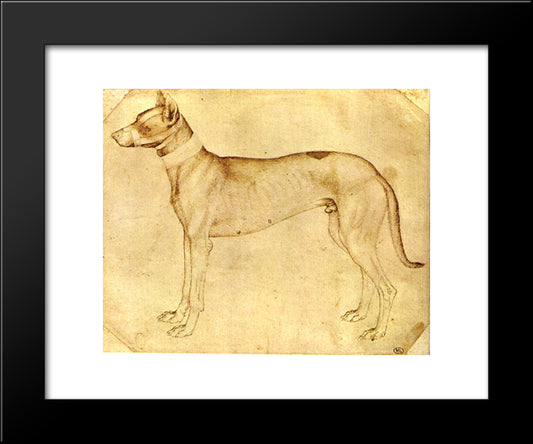 Dog 20x24 Black Modern Wood Framed Art Print Poster by Pisanello