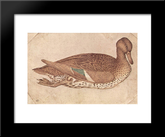 Duck 20x24 Black Modern Wood Framed Art Print Poster by Pisanello