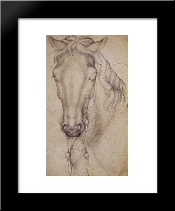 Study Of The Head Of A Horse 20x24 Black Modern Wood Framed Art Print Poster by Pisanello