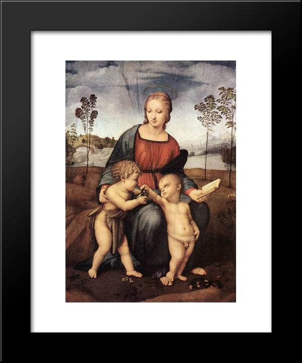 Madonna Of The Goldfinch 20x24 Black Modern Wood Framed Art Print Poster by Raphael
