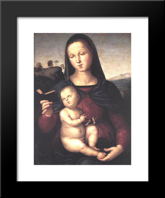Solly Madonna 20x24 Black Modern Wood Framed Art Print Poster by Raphael