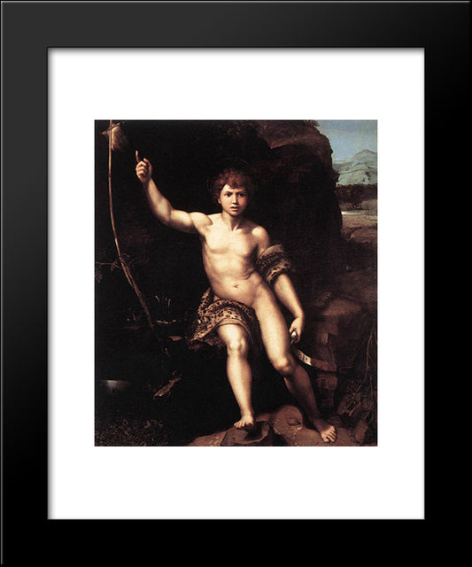 St. John The Baptist In The Desert 20x24 Black Modern Wood Framed Art Print Poster by Raphael