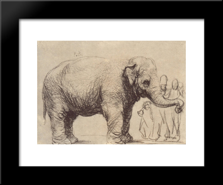 An Elephant 20x24 Black Modern Wood Framed Art Print Poster by Rembrandt